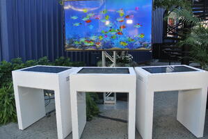 inTouch Tables with Virtual Fishtank