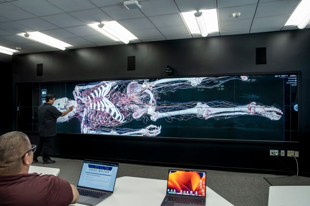 t1v-university-of-california-riverside-excite-center-for-teaching-and-learning-thinkhub-visual-collaboration-software-on-planar-6x2-video-wall-teaching-skeletal-system-interaction-1