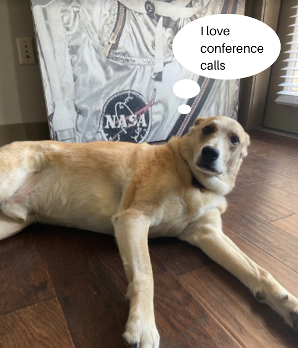 T1V-wfh-WFA-series-1-wfh-dog-barking-during-conference-calls