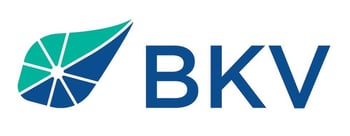 BKV_Corporation_Kalnin_Ventures_Logo