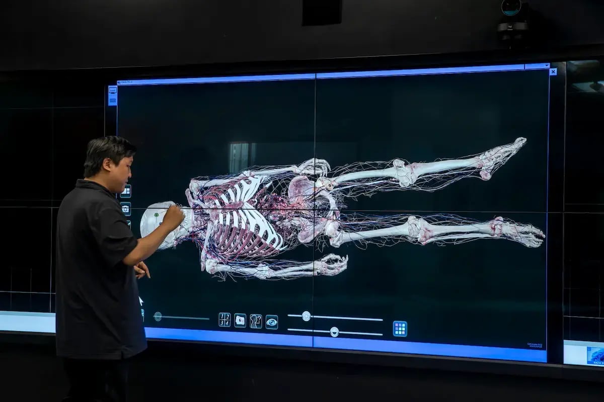 t1v-university-of-california-riverside-excite-center-for-teaching-and-learning-thinkhub-visual-collaboration-software-on-planar-6x2-video-wall-skeletal-system