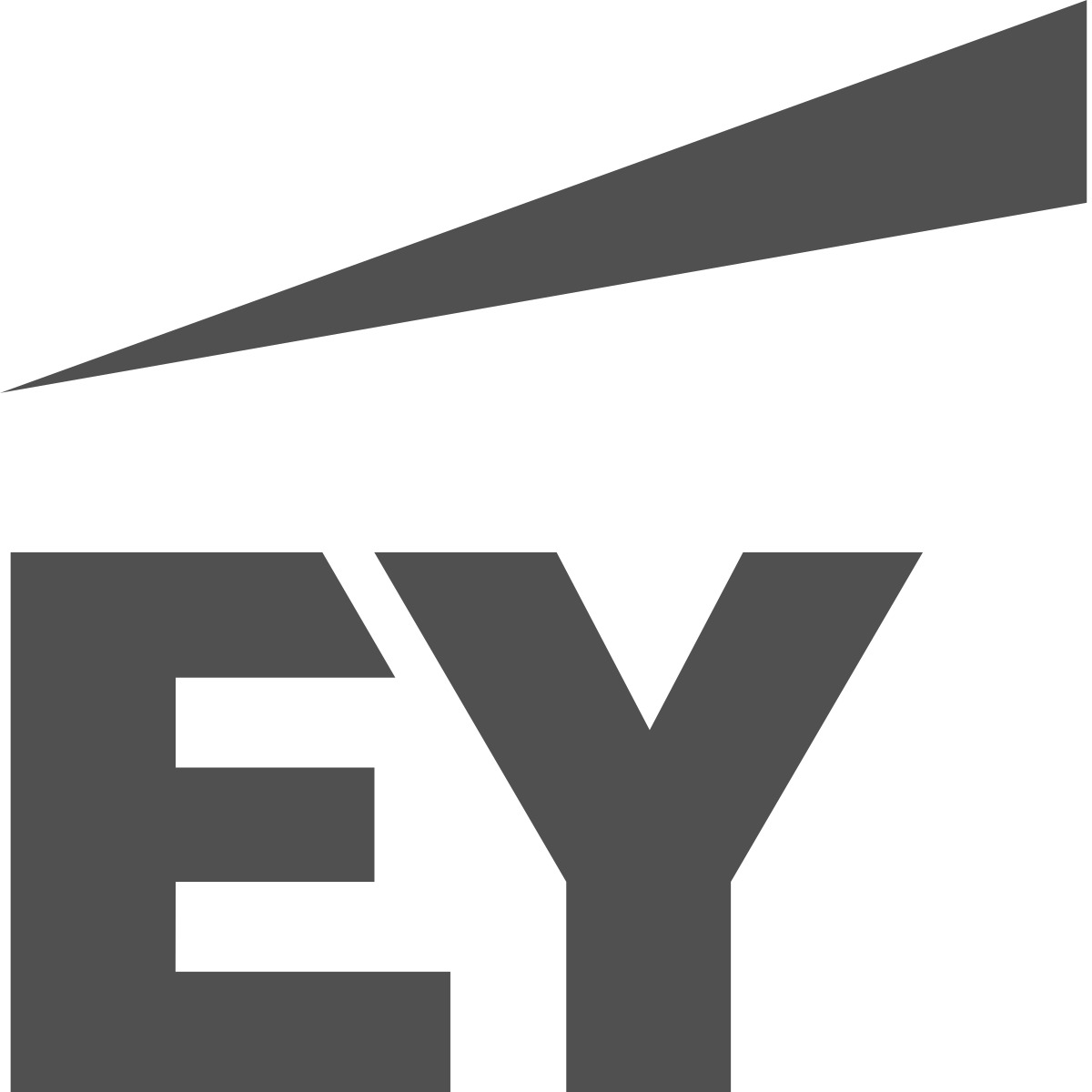 EY Ernst and Young ThinkHub Customer