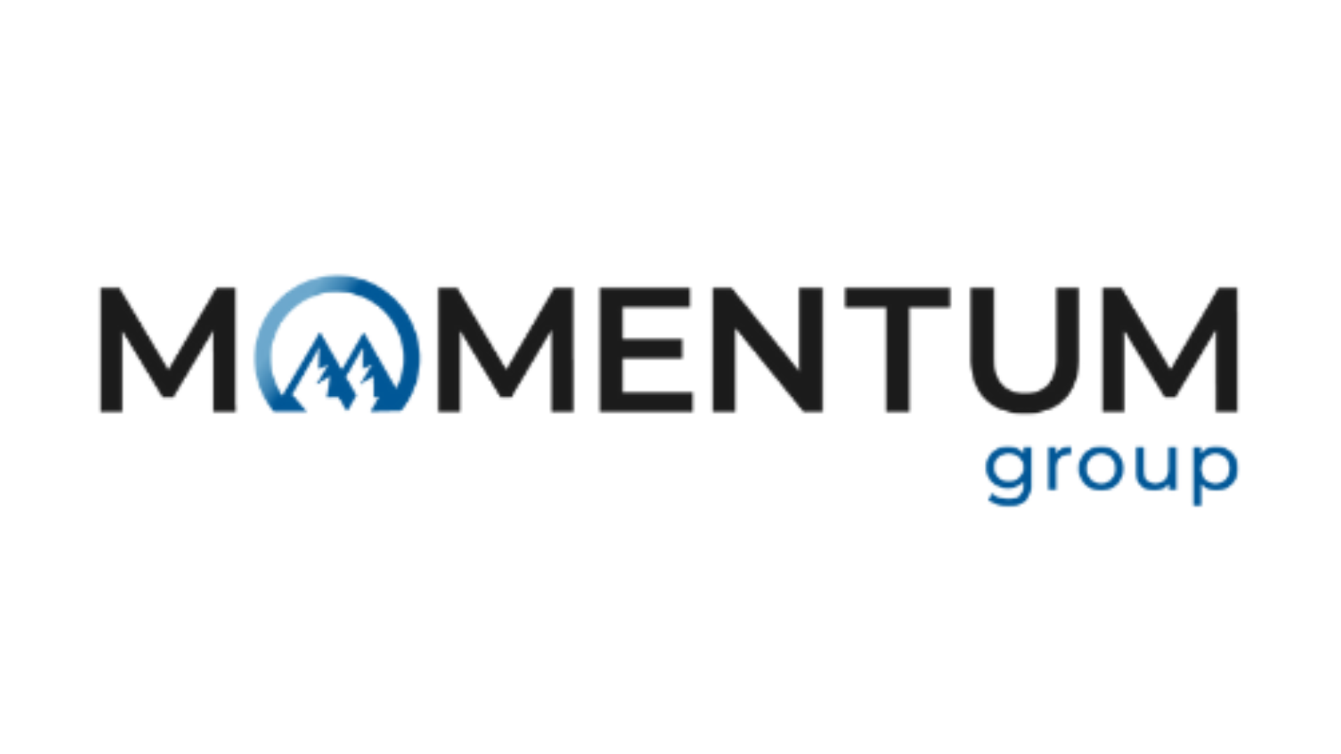 momentum-group-logo